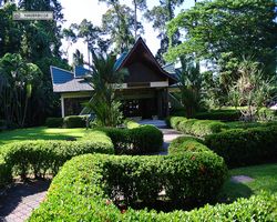 Malaysia - Borneo - Sepilok Orang Utan Rehabilitation Centre