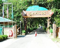 Malaysia - Borneo - Sepilok Orang Utan Rehabilitation Centre
