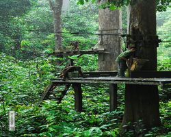Malaysia - Borneo - Sepilok Orang Utan Rehabilitation Centre