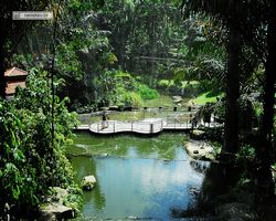 Malaysia - Kuala Lumpur - Bird Park