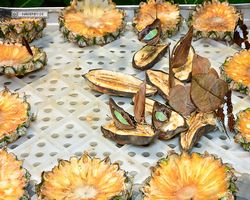 Malaysia - Kuala Lumpur - Butterfly Park