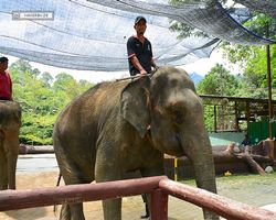 Malaysia - Kuala Gandah National Elephant Conservation Centre
