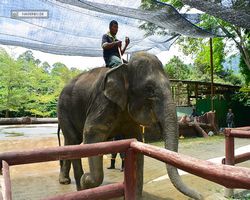 Malaysia - Kuala Gandah National Elephant Conservation Centre