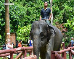 Malaysia - Kuala Gandah National Elephant Conservation Centre