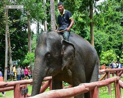 Malaysia - Kuala Gandah National Elephant Conservation Centre