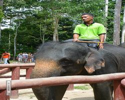 Malaysia - Kuala Gandah National Elephant Conservation Centre