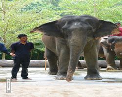 Malaysia - Kuala Gandah National Elephant Conservation Centre