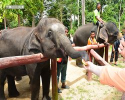 Malaysia - Kuala Gandah National Elephant Conservation Centre