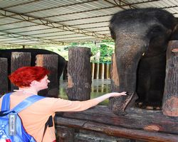 Malaysia - Kuala Gandah National Elephant Conservation Centre