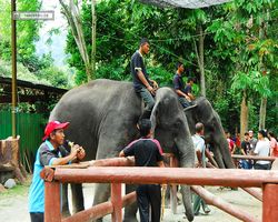 Malaysia - Kuala Gandah National Elephant Conservation Centre