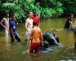 Malaysia - Kuala Gandah National Elephant Conservation Centre