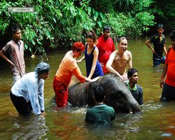 Malaysia - Kuala Gandah National Elephant Conservation Centre