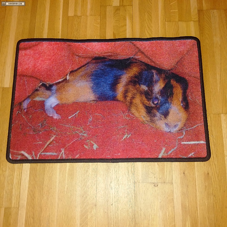 Fußmatte mit Meerschweinchenmotiv