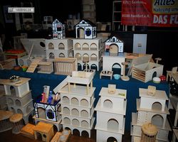 4. Frankfurter Meerschweinchen-Show 2011