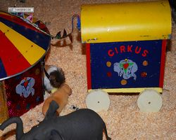 4. Frankfurter Meerschweinchen-Show 2011