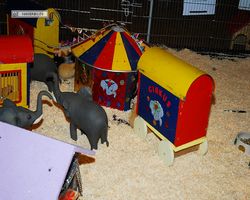 4. Frankfurter Meerschweinchen-Show 2011