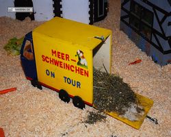 4. Frankfurter Meerschweinchen-Show 2011