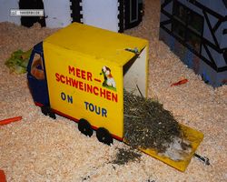 4. Frankfurter Meerschweinchen-Show 2011