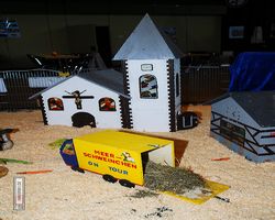 4. Frankfurter Meerschweinchen-Show 2011