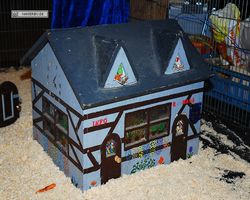 4. Frankfurter Meerschweinchen-Show 2011