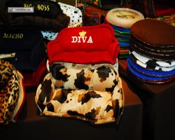 4. Frankfurter Meerschweinchen-Show 2011