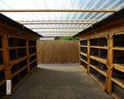 9. Große Bayerische Meerschweinchenschau 2011