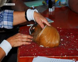 9. Große Bayerische Meerschweinchenschau 2011