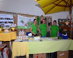 13. Große Bayerische Meerschweinchenschau 2015