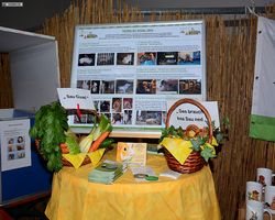 13. Große Bayerische Meerschweinchenschau 2015