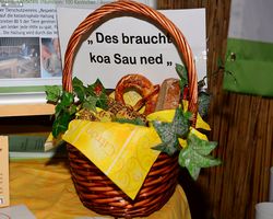 13. Große Bayerische Meerschweinchenschau 2015