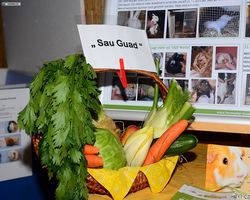 13. Große Bayerische Meerschweinchenschau 2015