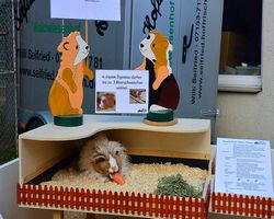 Tierheimfest - Esslingen 2014 - 06.09.2014