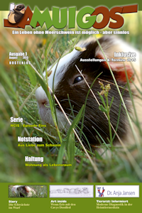 amuigos - Das Meerschweinchen-Magazin - Ausgabe 2015-1