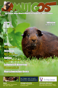 amuigos - Das Meerschweinchen-Magazin - Ausgabe 2016-3