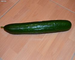 Meerschweinchen FAQ - Gemüse - Gurke