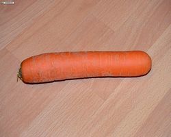 Meerschweinchen FAQ - Gemüse - Karotte