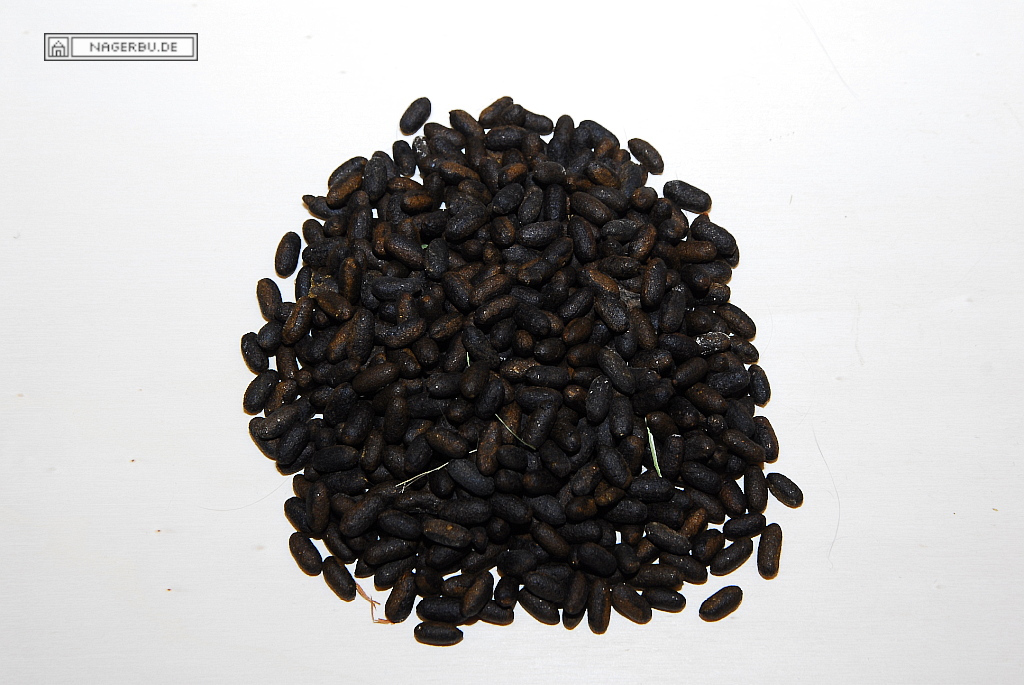 Sonntag 8 Uhr und Langeweile