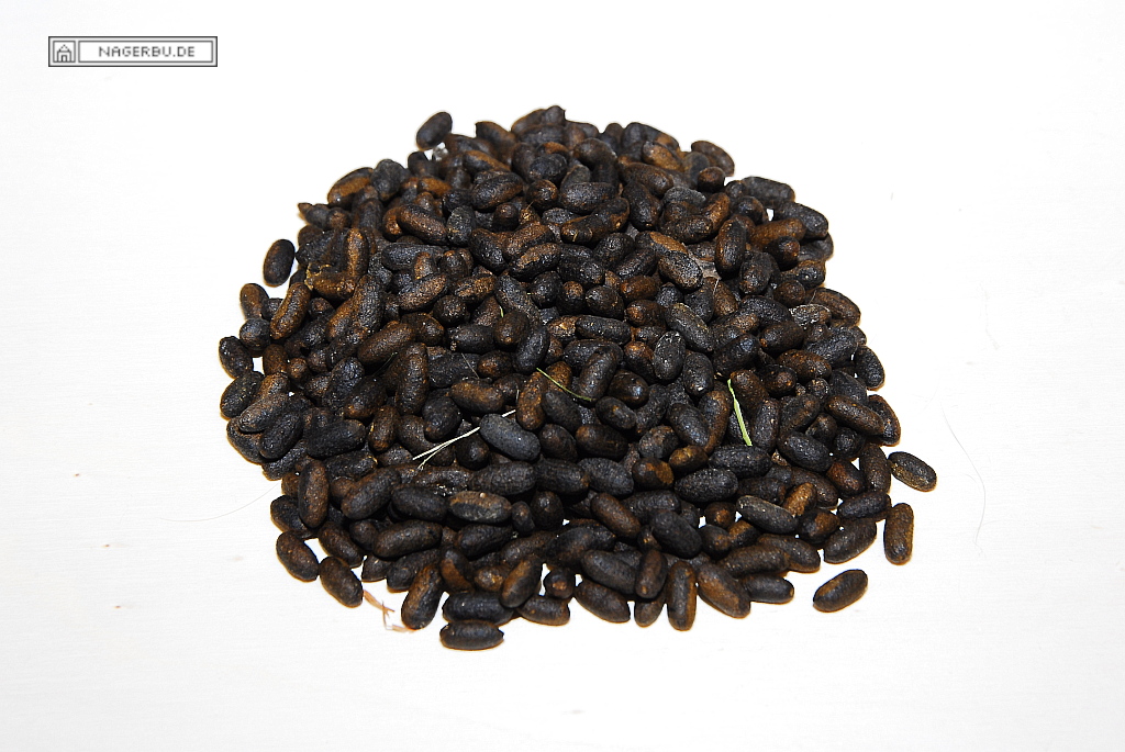 Sonntag 8 Uhr und Langeweile